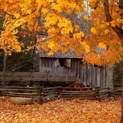 10 Top Free Fall Screensavers Desktops FULL HD 1920\u00d71080 For PC Desktop 