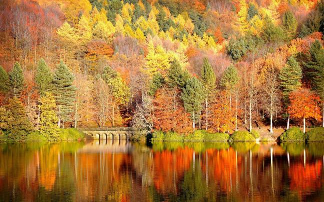 Fall Backgrounds Desktop \u00b7\u2460 