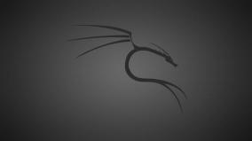 Kali Linux Desktop Wallpaper