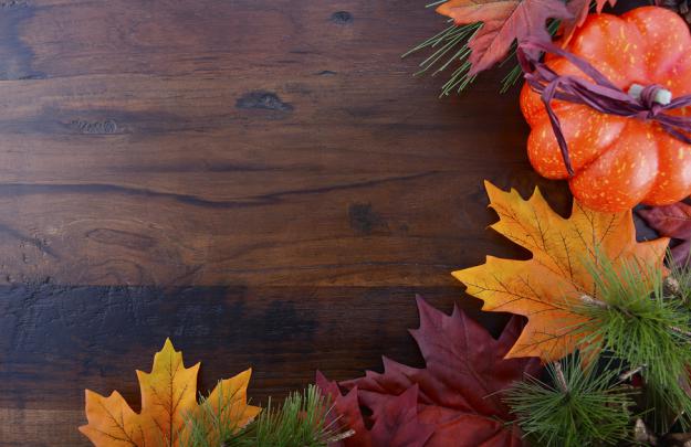 Autumn Fall Background