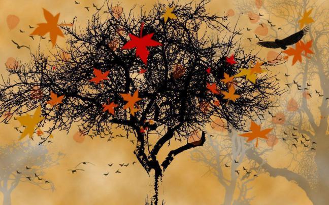 Fall Screen Backgrounds