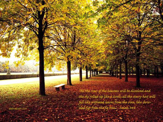 Fall Desktop Wallpaper with Scripture -