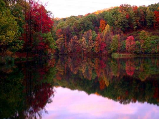 Fall Scenery Backgrounds