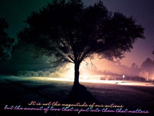 Tree Life Quotes 1600x1200 Wallpapers HD \/ Desktop and Mobile Backgrounds