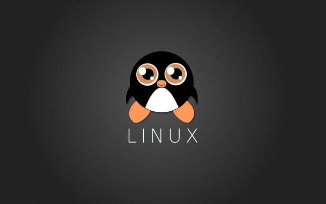 Linux Penguin Wallpapers - Top Free Linux Penguin Backgrounds 