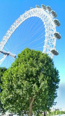 Sightseeing before meeting | Sightseeing, Fair grounds, Grounds