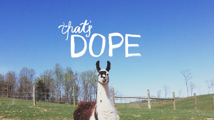 Cute Llama Desktop Wallpapers - Top Free Cute Llama Desktop Backgrounds 