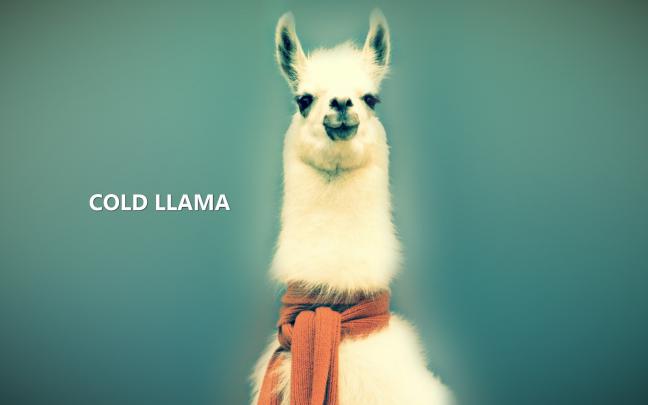 All Wallpapers: Llama hd Wallpapers 2013