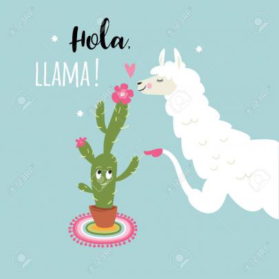 Cute Llama Wallpaper Phone | aesthetic guides