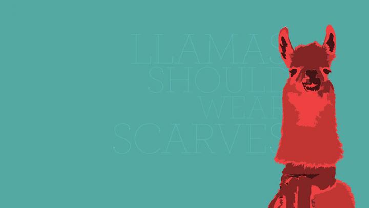 Llama Wallpaper | Minimal wallpaper from a picture of a llam\u2026 | Flickr 