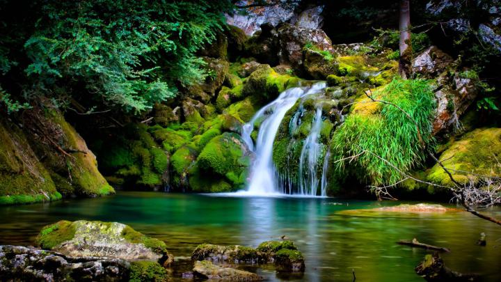 [77+] Nature Background Wallpaper 