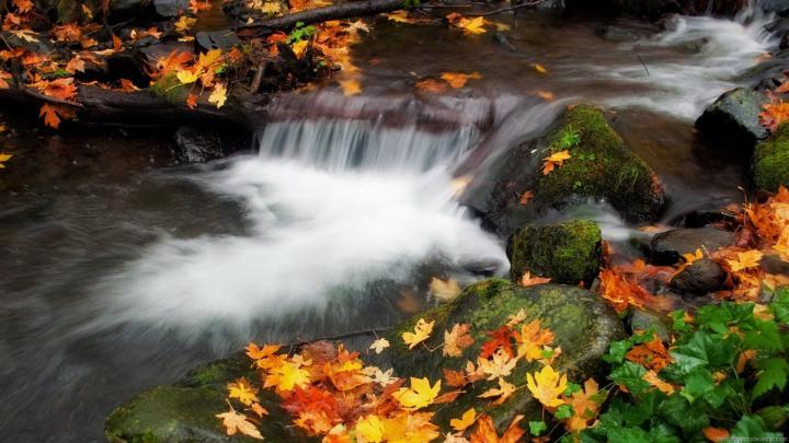 [49+] Hd Nature Wallpapers 1080p 