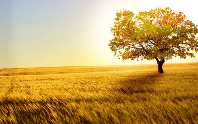 Nature Wallpapers for Pc (48+ images)