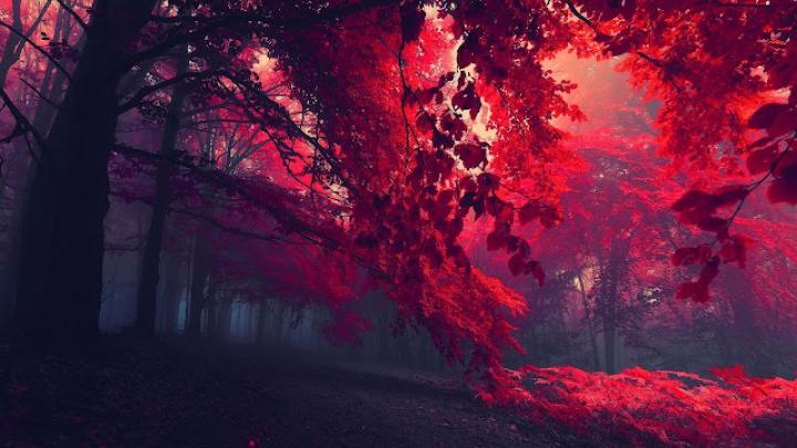 Hei! 40+ Vanlige fakta om 1920X1080 Wallpaper! Follow the vibe and 