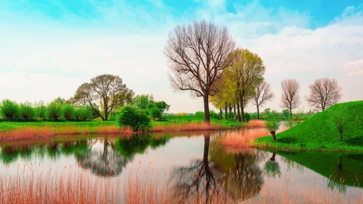 Nature Wallpapers