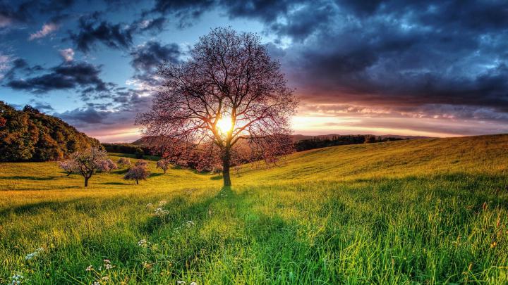 HD Nature Wallpapers (71+ images)
