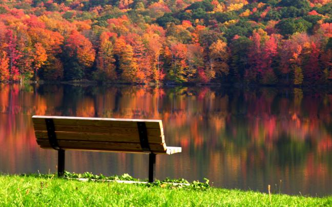 Serene Wallpapers -