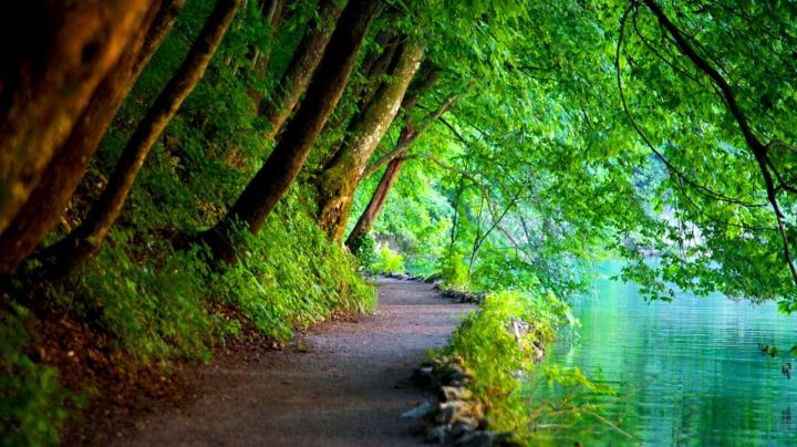 Nature Wallpapers - Top Free Nature Backgrounds - WallpaperAccess
