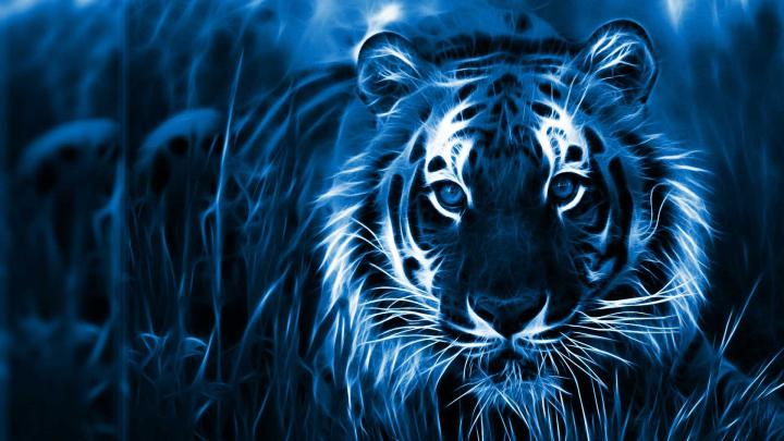 HD 3D Wallpapers 1080P (83+ background pictures)