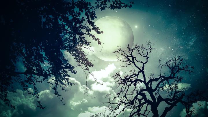 HD 3D Wallpapers 1080P (83+ background pictures)