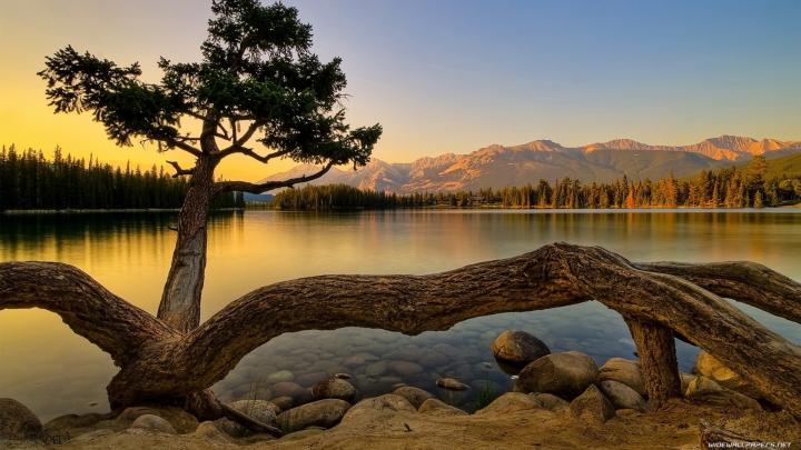 Free download Full HD Desktop Hd nature wallpaper for Desktop 