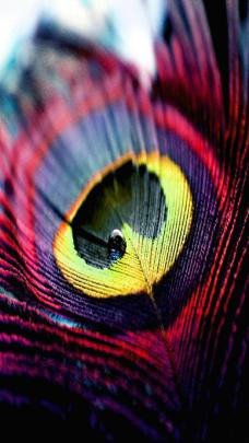 Hd wallpapers for android phones free download - SF Wallpaper