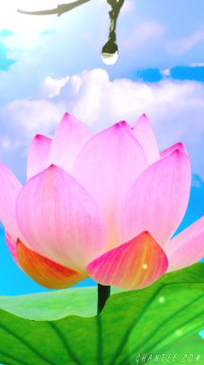 Full Hd Wallpapers 1920X1080 For Mobile Download : Please contact us if 