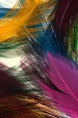 Most Popular Wallpaper For Mobile Download - Collection of most popular 