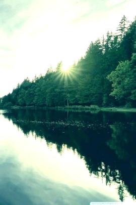 Full Hd Background Hd Wallpaper For Mobile 1920x1080 - Largest 