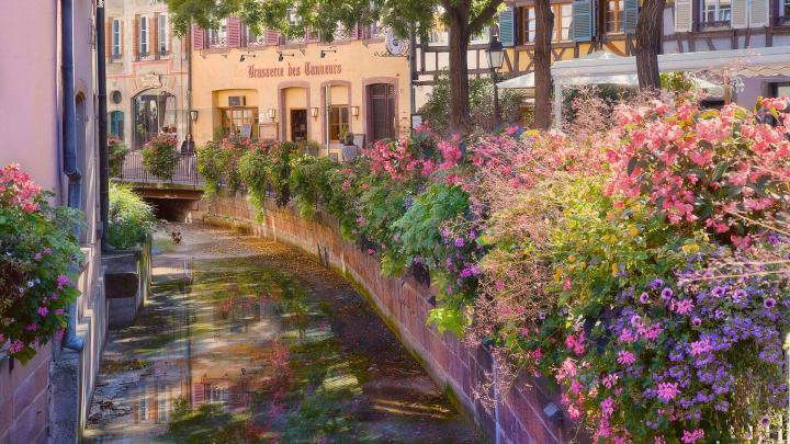 1920 X 1080 Spring Wallpapers -