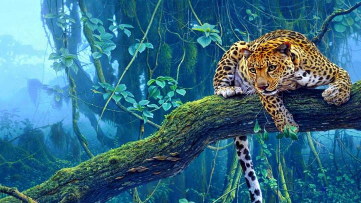 [43+] 1920X1080 Tiger Wallpaper Full HD 