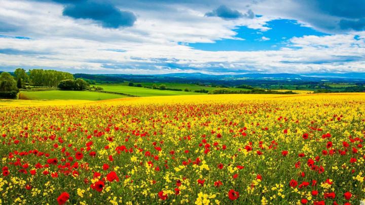 [43+] Spring Wallpaper 1920 x 1080 