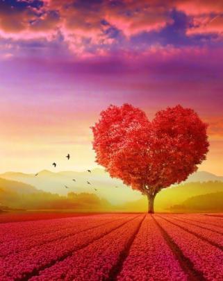 Full Hd Wallpapers 1920X1080 For Mobile Download : Please contact us if 
