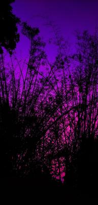 Hd Wallpaper For Mobile 1920x1080 - Wallpaper For You