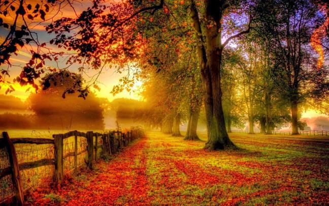 Autumn Morning Wallpaper for Widescreen Desktop PC 1920x1080 Full HD