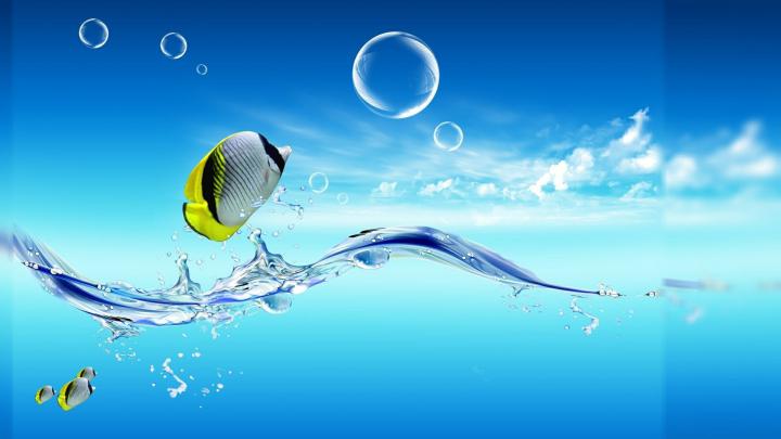 Laptop Wallpaper -