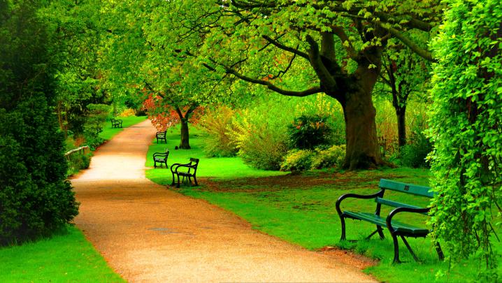 170 Nature Full Hd Wallpapers 1920X1080 For Mobile \/ We present you our 