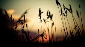 Full Hd Wallpaper For Laptop 1920x1080