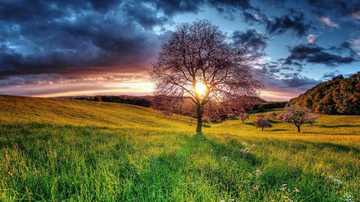 Hd Laptop Wallpaper -