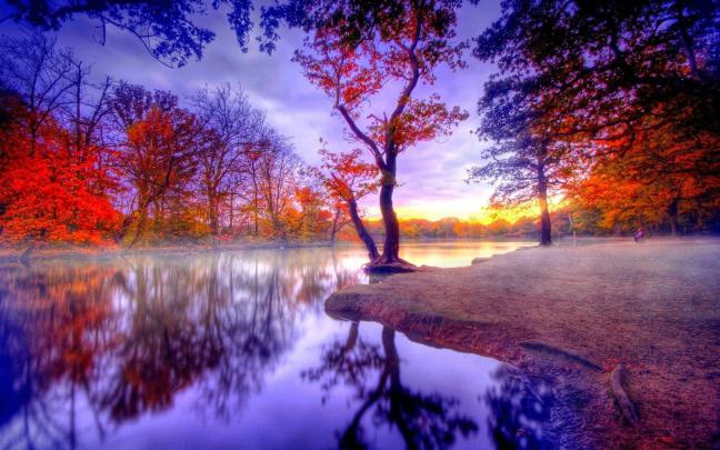 [50+] Full HD Wallpapers for PC 
