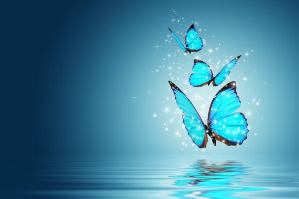 Full Screen HD Wallpaper (83+ images)