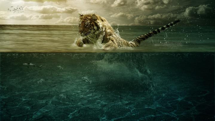 HD Wallpapers 1920x1080 (72+ images)