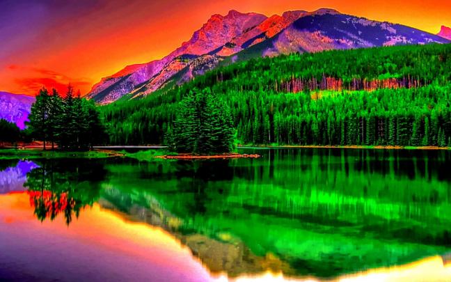Get Nature Wallpaper Full Hd 3D Wallpapers 1920X1080 Free Download For 