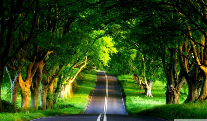 Road Summer 4k Hd Desktop Wallpaper For 4k Ultra - Hd Wallpapers For 