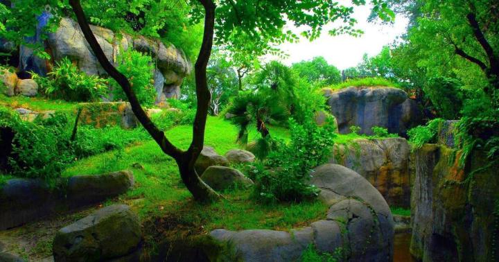 Nature Desktop Backgrounds Nature Laptop Wallpaper Hd 1080p - wallpaper