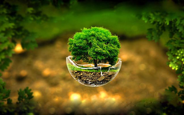 Nature 4D Wallpaper Hd 1080P Free Download For Mobile : Free download 