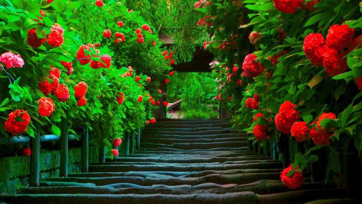 Full Screen HD Wallpaper (83+ images)