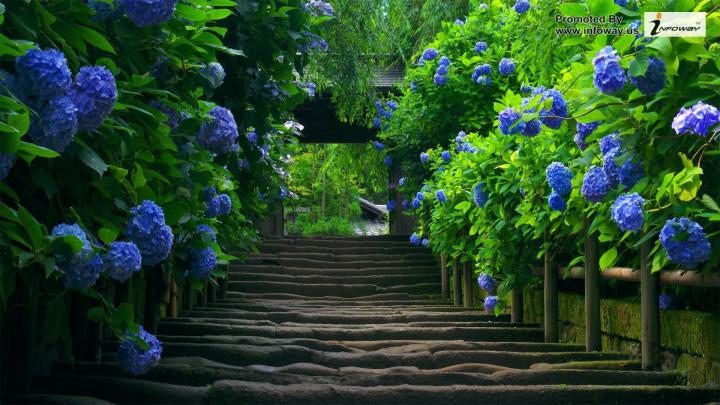 3D 1920x1080 HD Nature Wallpapers (56+ images)