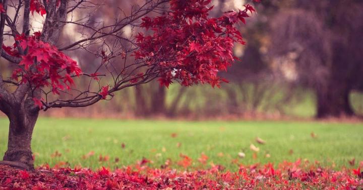 Collection : Top 27 170 nature full hd wallpapers 1920x1080 (HD 