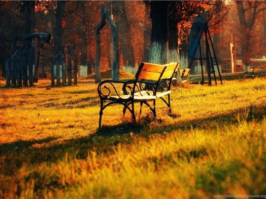 Beautiful Hd Nature Wallpaper Full Screen \/ Nature full hd wallpapers 